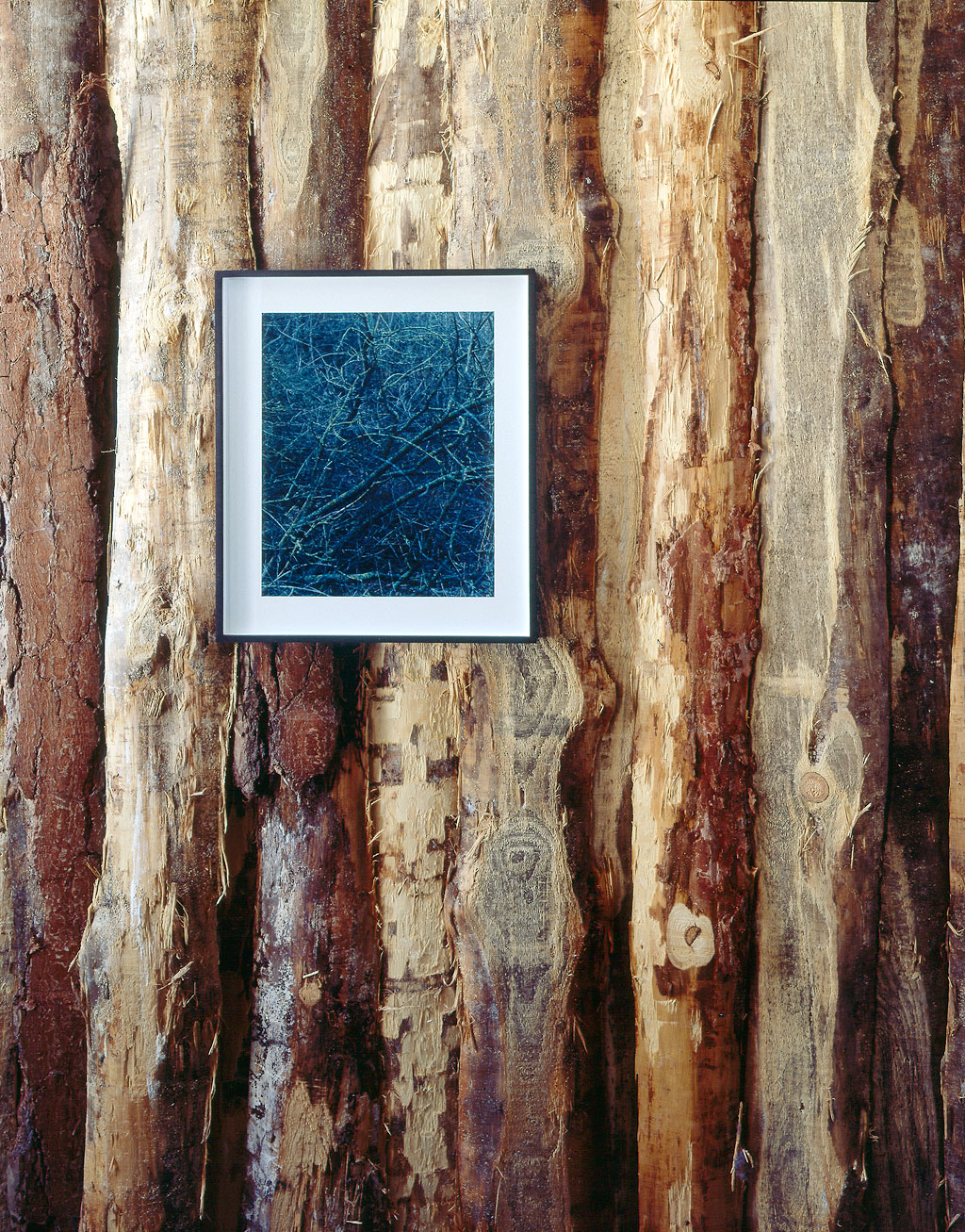 nature morte - &raquo;god only knows&laquo;