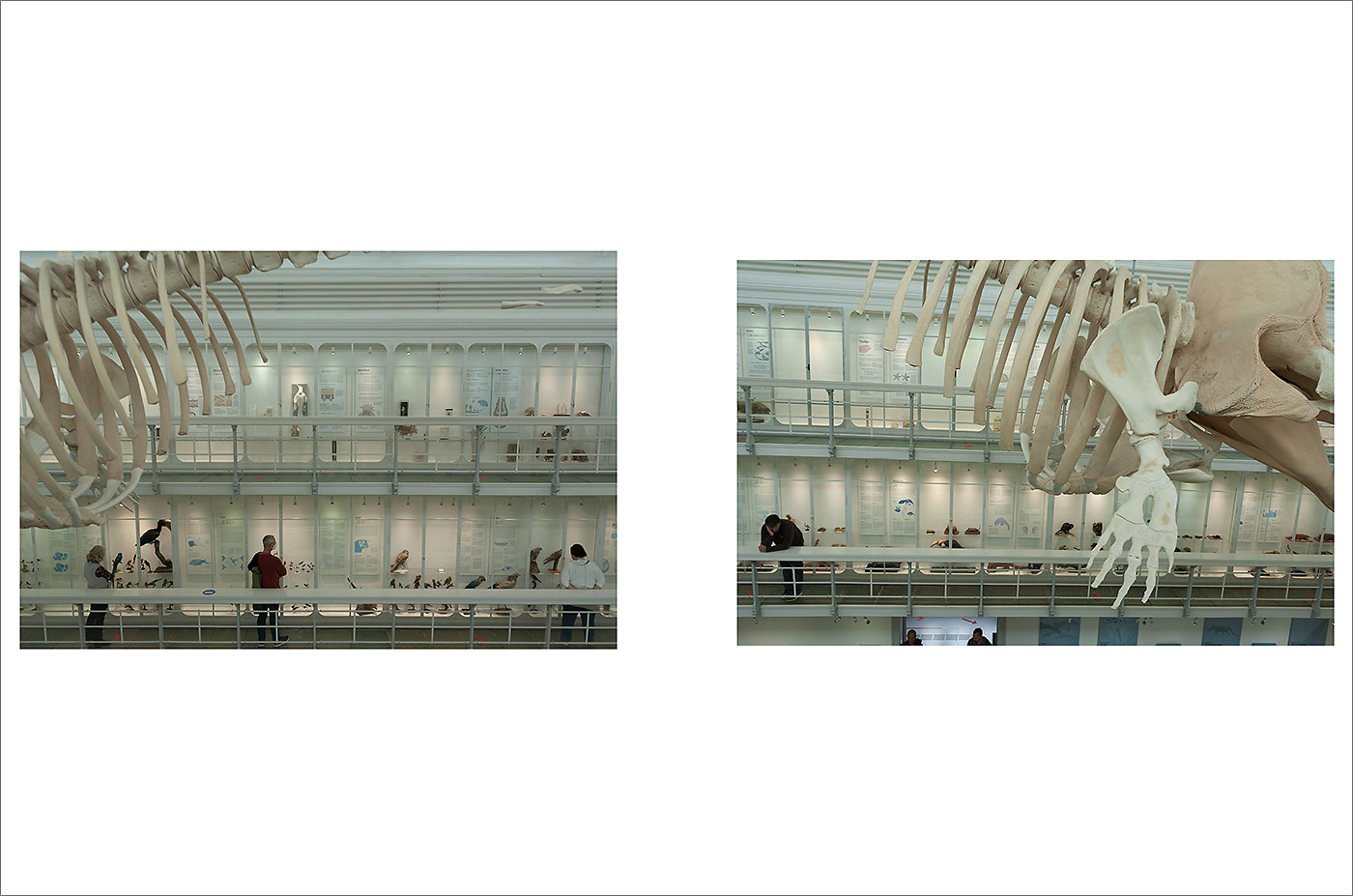 Project Week at Muthesius Kunsthochschule Kiel "Von anderen R&auml;umen"