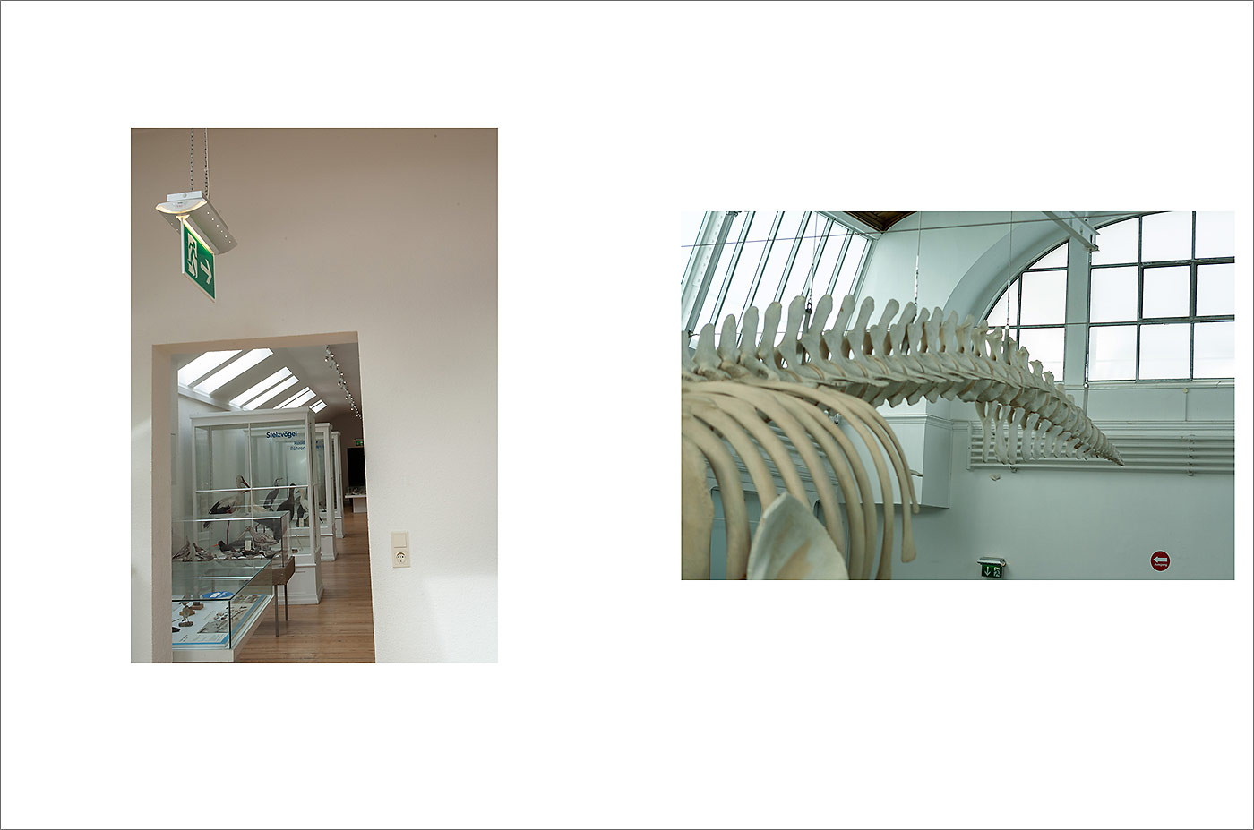 Project Week at Muthesius Kunsthochschule Kiel "Von anderen R&auml;umen"