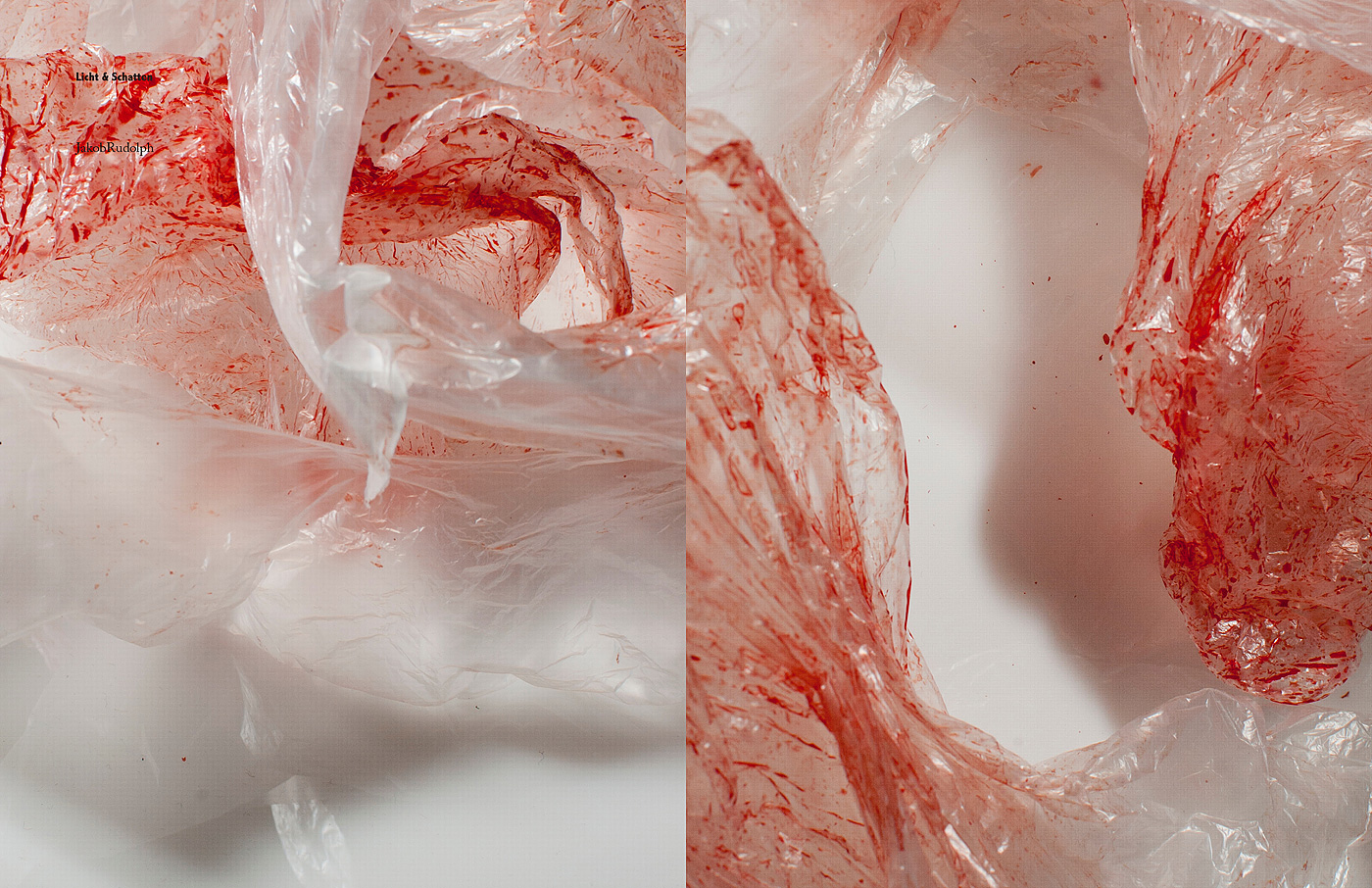 Kompaktseminar &raquo;Studiofotografie&laquo;