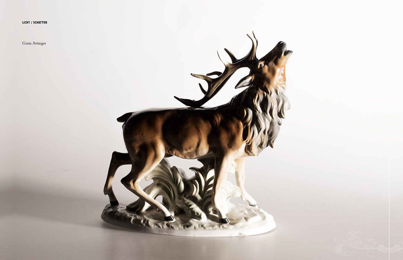 Kompaktseminar &raquo;Studiofotografie&laquo;