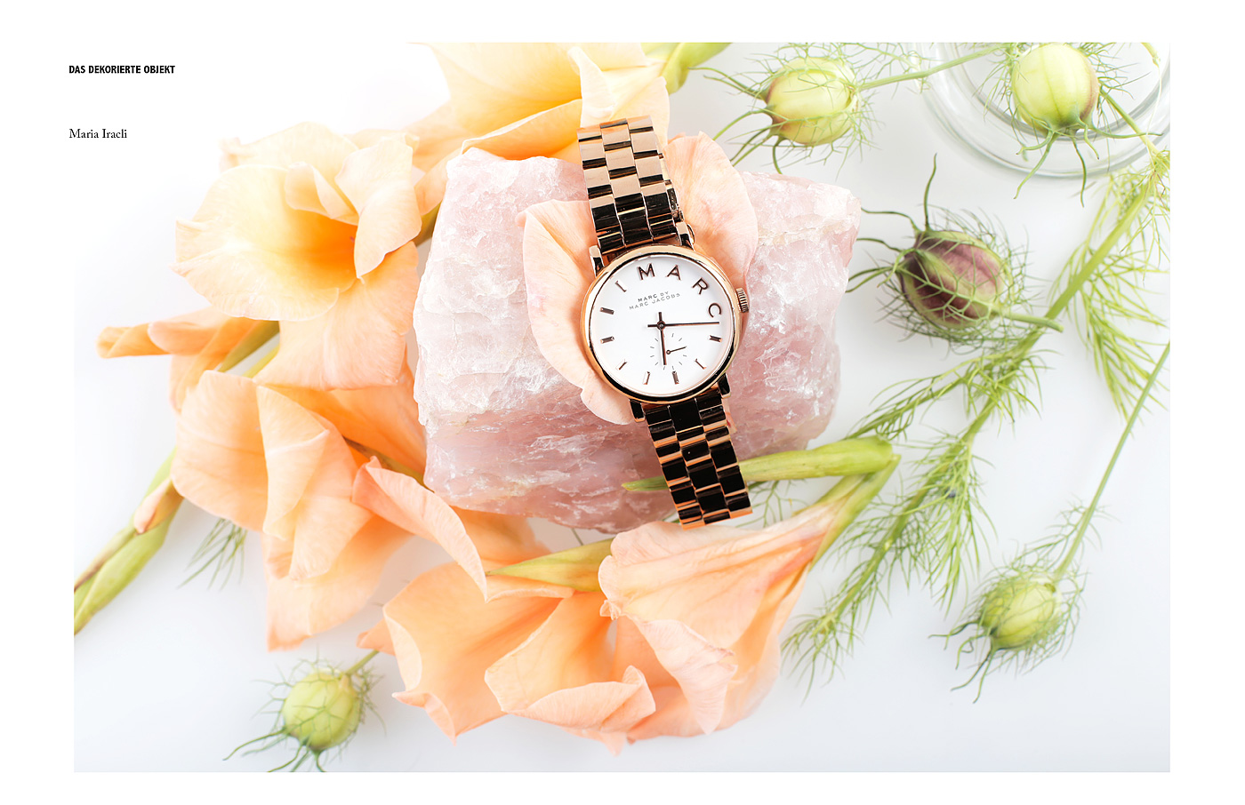 Kompaktseminar &raquo;Studiofotografie&laquo;