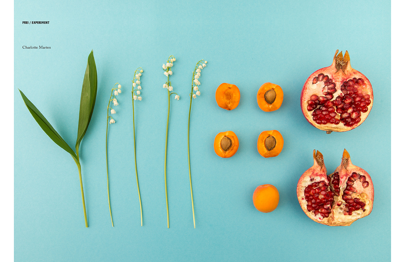 Kompaktseminar &raquo;Studiofotografie&laquo;