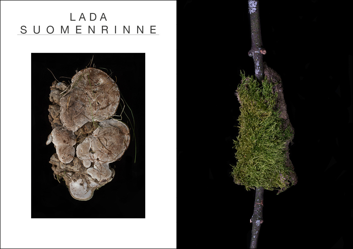 Publication »Lighting Design«